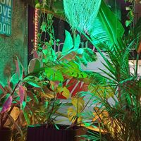  at Sanissimo - Opera in Madrid