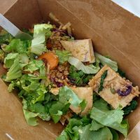 Lots of Tofu (more underneath the rice) at Chau VeggiExpress - Granville Island Stall in Vancouver