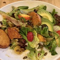   at Leaf Vegetarian Restaurant in Boulder