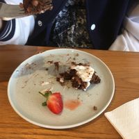 Brownie   at Earthlings in Bolton