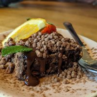 Brownie at Earthlings in Bolton