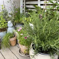   at Earthlings in Bolton