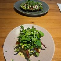   at Earthlings in Bolton