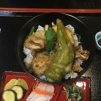 tempura over rice at Arashiyama-kan in Kyoto