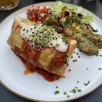 Vegan Chimichanga with fake meat at La Fiesta in Linz