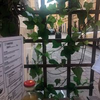  at Farma Burgerownia Roslinna in Krakow