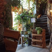 at Farma Burgerownia Roslinna in Krakow