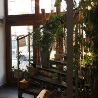 Inside deco at Farma Burgerownia Roslinna in Krakow