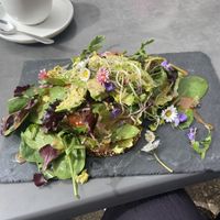   at Cafe Flora in Bad Harzburg