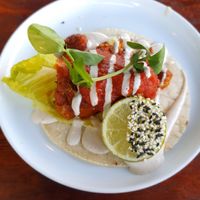 Cauliflower tacos at Greenhouse Canteen & Bar in Tallebudgera-vallley