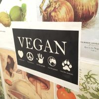 B at Greenhouse Canteen & Bar in Tallebudgera-vallley