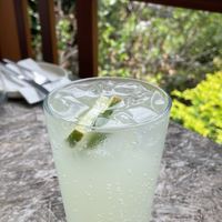 Pickled Pig ginger beer   at Greenhouse Canteen & Bar in Tallebudgera-vallley