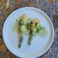  at Greenhouse Canteen & Bar in Tallebudgera-vallley