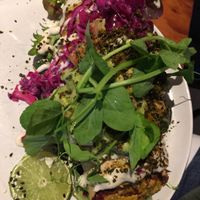 Jackfruit enchilada at Greenhouse Canteen & Bar in Tallebudgera-vallley