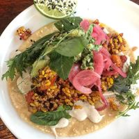 Can’t say no to tacos - Nut Mince Taco at Greenhouse Canteen & Bar in Tallebudgera-vallley