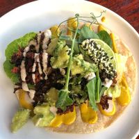 Cajun Taco with jackfruit, amazing!! at Greenhouse Canteen & Bar in Tallebudgera-vallley