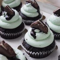 Delicious Choc Mint Cupcakes at Veganyumm Bakehouse in Brisbane
