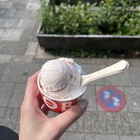 Rabarber and coconut   at Roberto Gelato in Utrecht