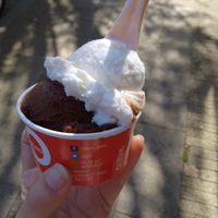  at Roberto Gelato in Utrecht