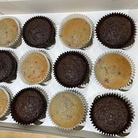   at Jesmond Cake Company in Newcastle Upon Tyne