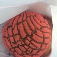 vegan concha!!! at Panaderia Nuevo Leon in Chicago