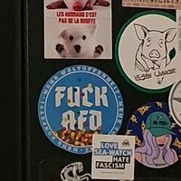 FUCK AfD! ✊ at La Stella Nera in Berlin