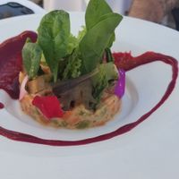  at Mater Terrae in Rome