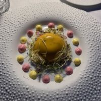   at Mater Terrae in Rome