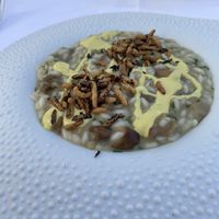   at Mater Terrae in Rome