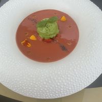   at Mater Terrae in Rome