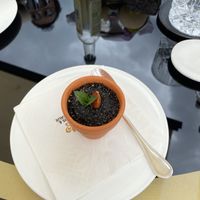   at Mater Terrae in Rome