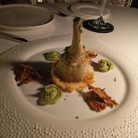  at Mater Terrae in Rome