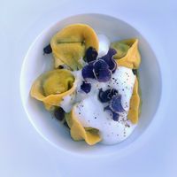  at Mater Terrae in Rome