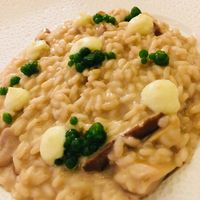 Risotto ai funghi at Mater Terrae in Rome