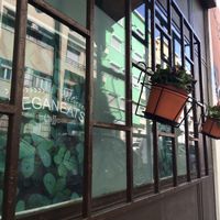 plant friends  at Veganeats Caffe in Lisbon