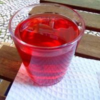 Strawberry tea at Veganeats Caffe in Lisbon