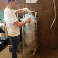 more vegan at N'Ice Cream Factory in Warsaw