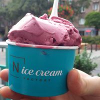 Soy milk base with acai berries, mango and strawberry ice cream at N'Ice Cream Factory in Warsaw