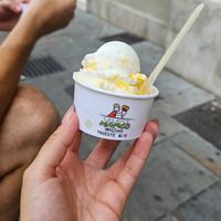 Loco cocco at Gelato Marco in Trieste