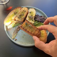   at Funky Jungle in Mechelen