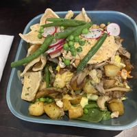   at Funky Jungle in Mechelen