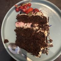   at Funky Jungle in Mechelen