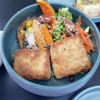   at Funky Jungle in Mechelen