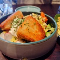 Cheese croquettes for a starter at Funky Jungle in Mechelen