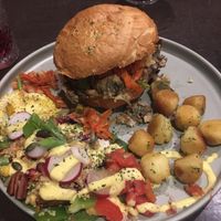   at Funky Jungle in Mechelen