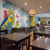 Inside at Funky Jungle in Mechelen