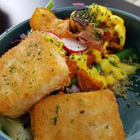 Vegan kaaskroketjes met een slaatje at Funky Jungle in Mechelen