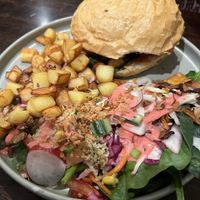   at Funky Jungle in Mechelen