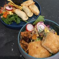 Vegan kaaskroketjes & empanada's at Funky Jungle in Mechelen