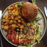  at Funky Jungle in Mechelen